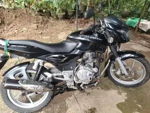 Bajaj Pulsar 150 2010