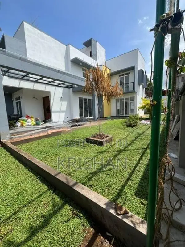 Malaysian Grass Carpet