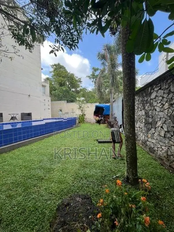 Malaysian Grass Carpet