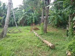 පර්චස් 15ක් වටිනා නේවාසික ඉඩමක් විකිනීමට