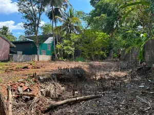 Prime Residential Land for Sale – Katuwana Road, Homagama