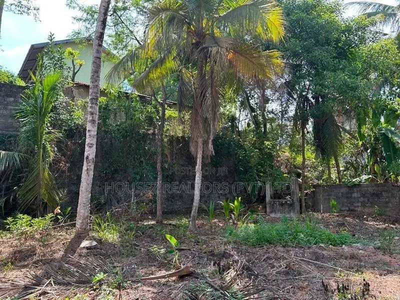Prime Residential Land for Sale – Katuwana Road, Homagama