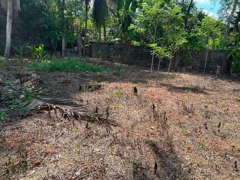 Prime Residential Land for Sale – Katuwana Road, Homagama