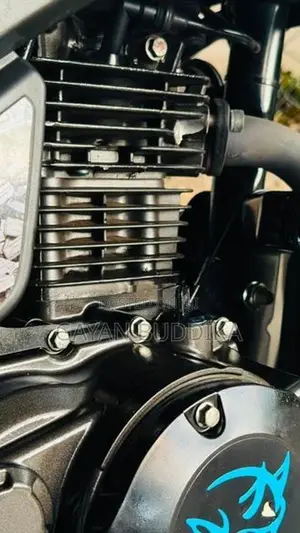 TVS Raider 125 2020