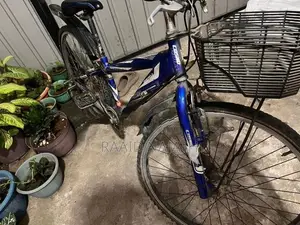 Bicycle ( Japan )