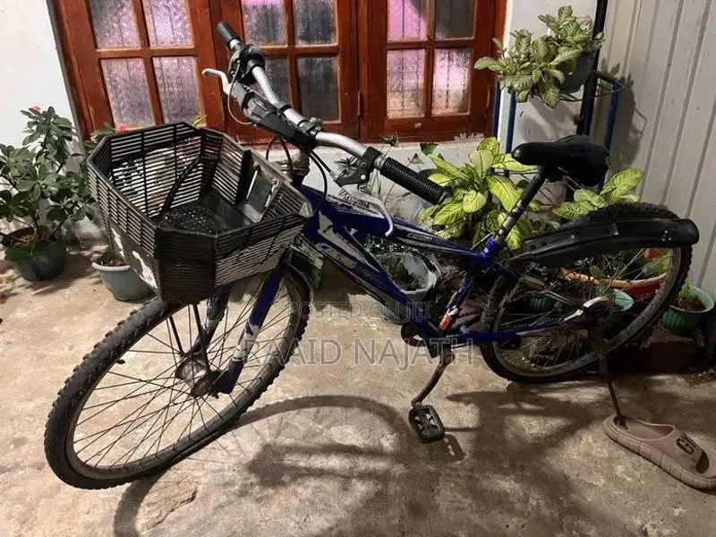 Bicycle ( Japan )