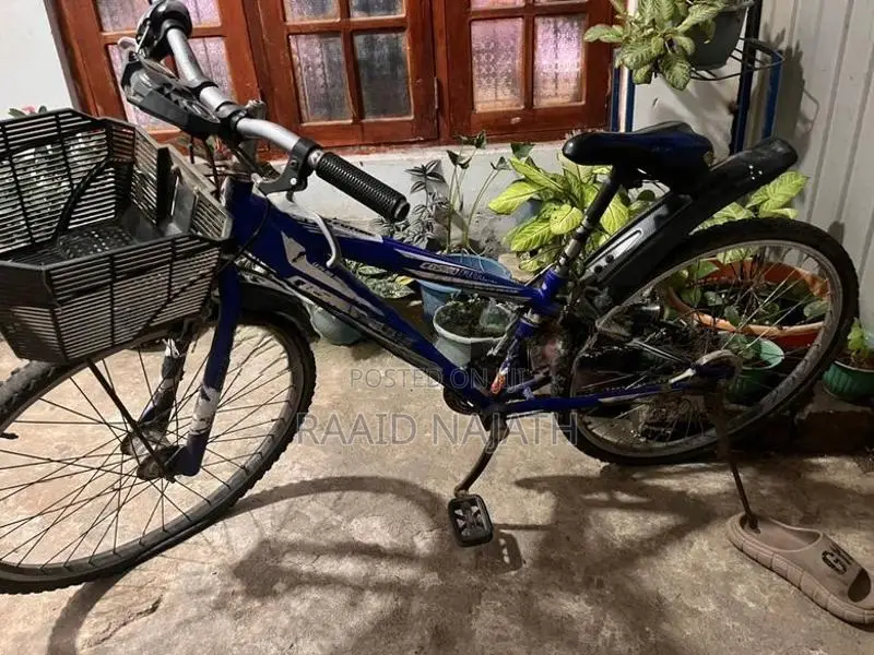 Bicycle ( Japan )