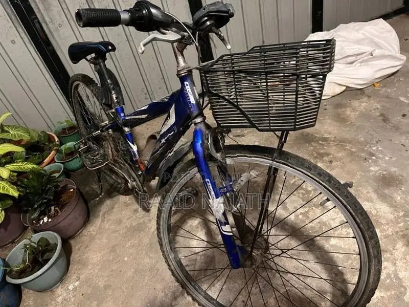 Bicycle ( Japan )