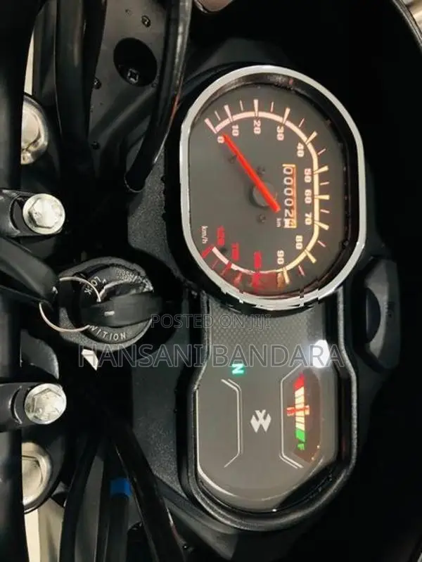 Bajaj Platina 100 Brand New 2026