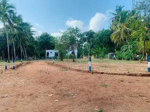 අනුරාධපුර කෘෂි පීඨයට ඉතාම ආසන්නයෙන් සින්නක්කර ඉඩමක්