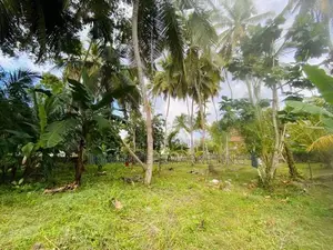 Valuable Land For Sale In Bentota Town
