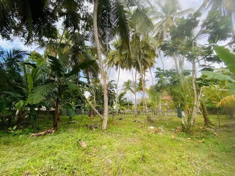 Valuable Land For Sale In Bentota Town