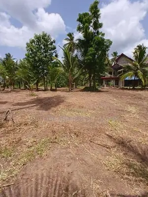 පෙරිමියන්කුලම අශෝක විද්‍යාලයට අතේ දුරින් සින්නක්කර බිම් කොටස්