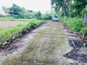 Valuable Residential Land for Sale – Veyangoda
