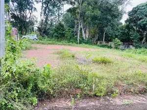 Valuable Residential Land for Sale – Veyangoda