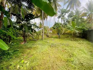 Valuable Land For Sale In Bentota Town