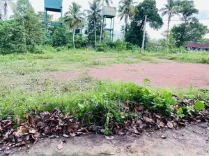 Valuable Residential Land for Sale – Veyangoda