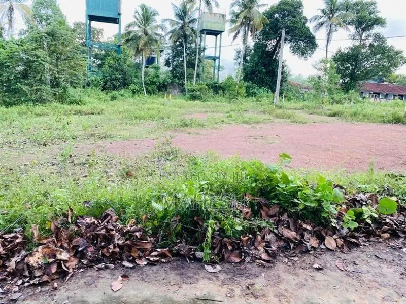 Valuable Residential Land for Sale – Veyangoda