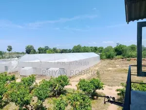 Wellawaya - Thanamalwila 04 Acres of Cultivated Land for Sale