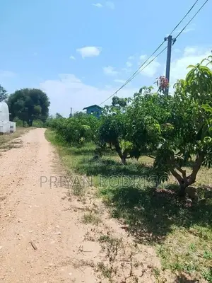 Wellawaya - Thanamalwila 04 Acres of Cultivated Land for Sale