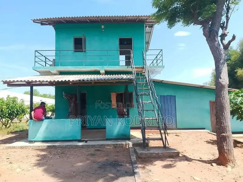 Wellawaya - Thanamalwila 04 Acres of Cultivated Land for Sale