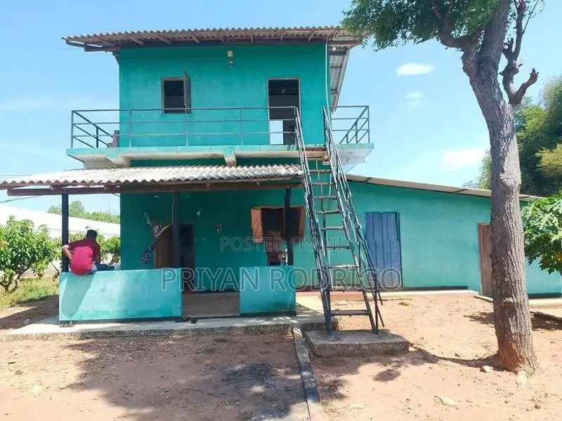 Wellawaya - Thanamalwila 04 Acres of Cultivated Land for Sale