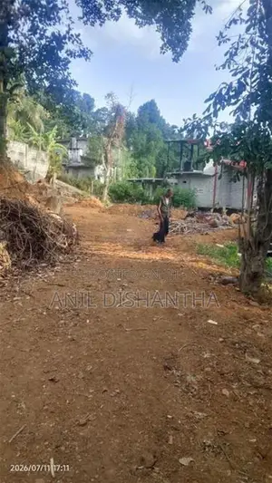 බදුල්ල ඉඩමක් විකිණීමට