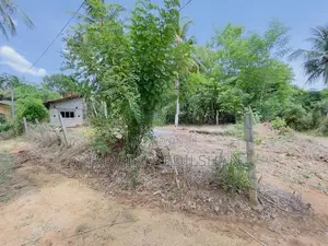 ඇඹිලිපිටිය නගරයට ආසන්නයෙන් ඉඩමක් විකිණීමට