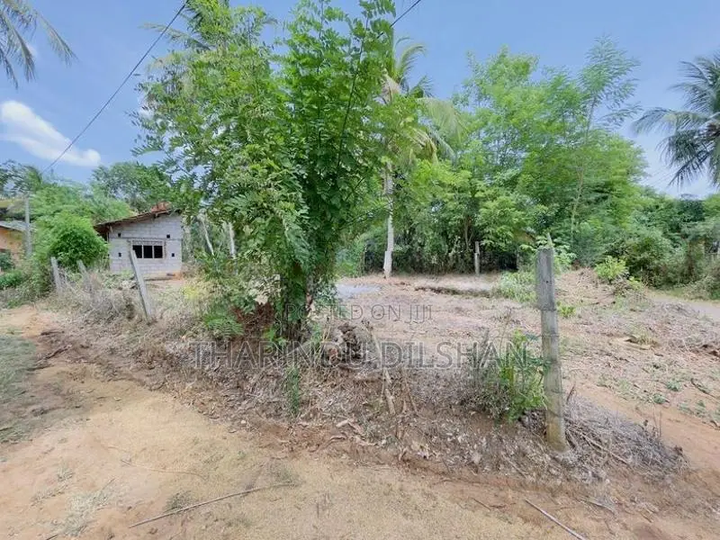 ඇඹිලිපිටිය නගරයට ආසන්නයෙන් ඉඩමක් විකිණීමට