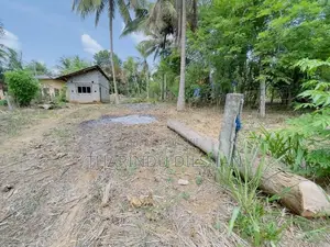 ඇඹිලිපිටිය නගරයට ආසන්නයෙන් ඉඩමක් විකිණීමට