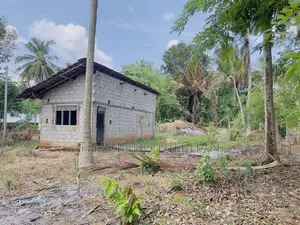 ඇඹිලිපිටිය නගරයට ආසන්නයෙන් ඉඩමක් විකිණීමට