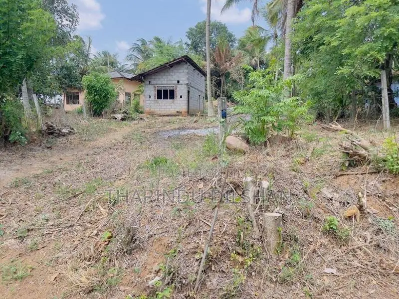 ඇඹිලිපිටිය නගරයට ආසන්නයෙන් ඉඩමක් විකිණීමට
