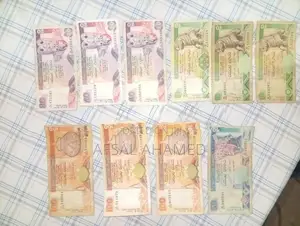 Old Notes