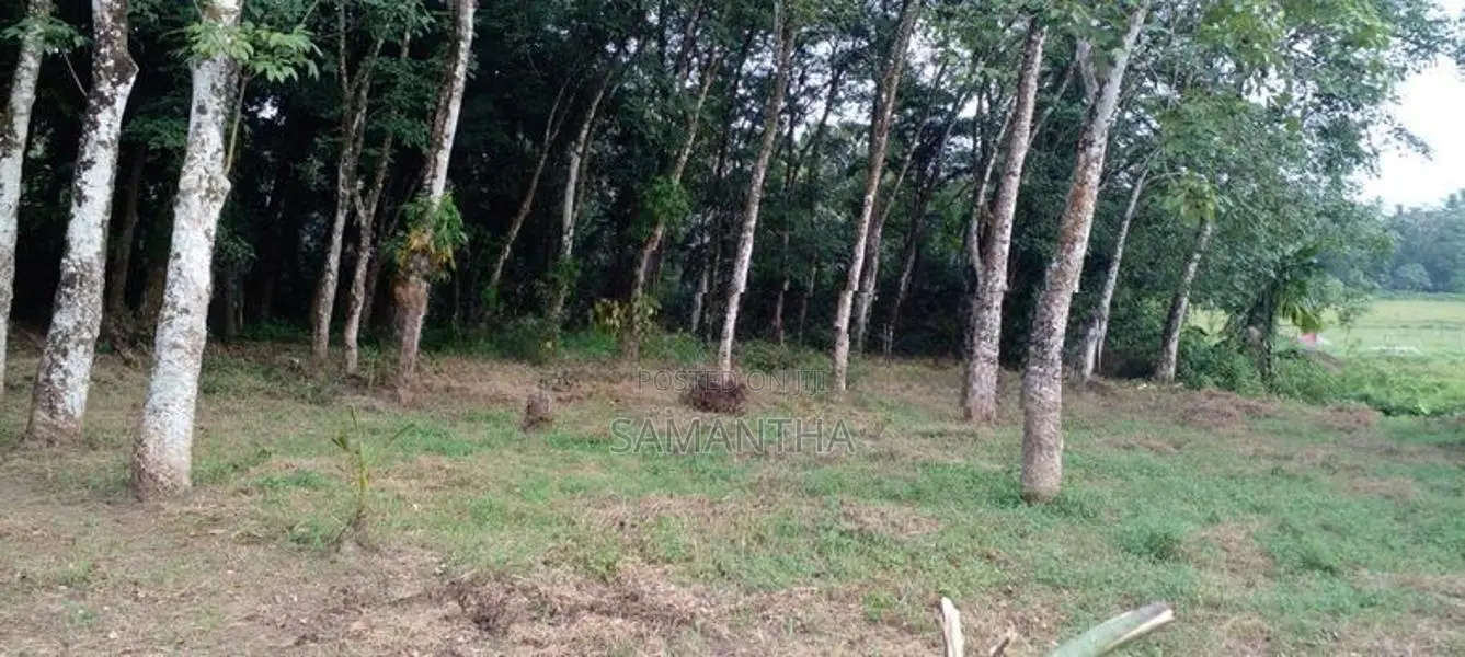Athurugiriya - Panagoda Paddy Field Facing Land for Sale .