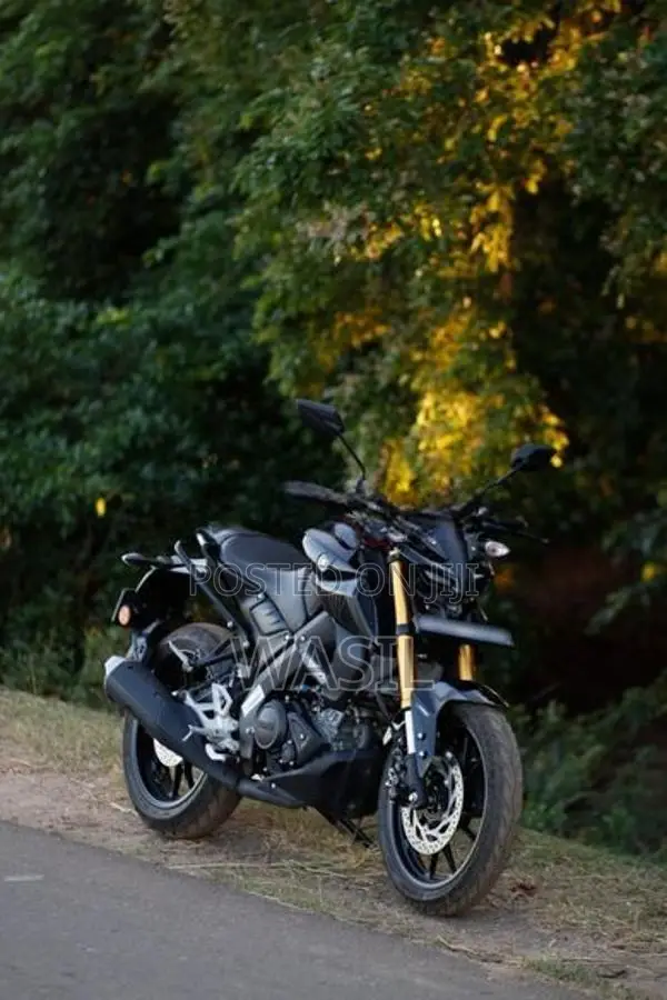 Yamaha MT 15 2026
