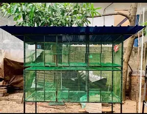 African Lovebirds Cage