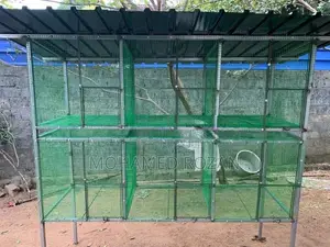 African Lovebirds Cage