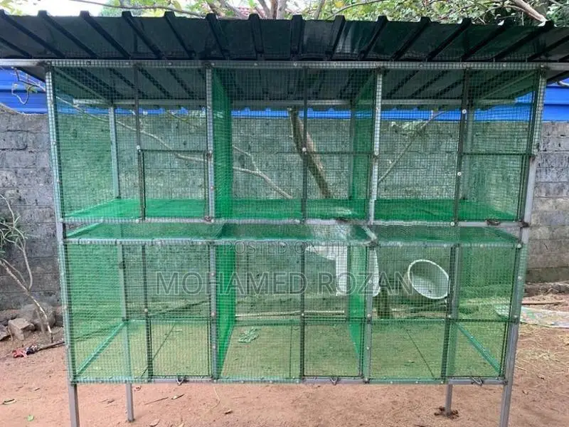 African Lovebirds Cage