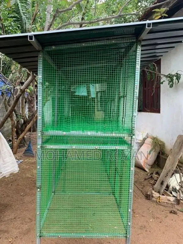 African Lovebirds Cage