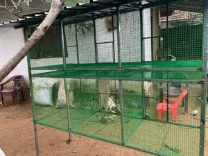 African Lovebirds Cage