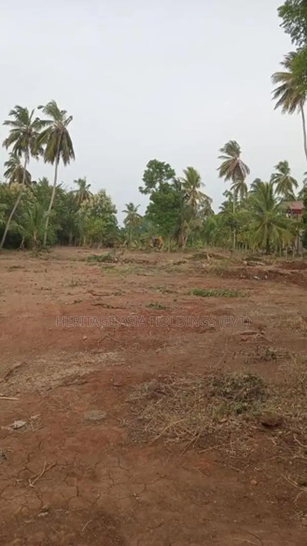 Land for Sale in අනුරාධපුරයෙන්