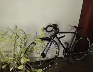 Racing Bicycle