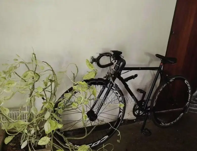 Racing Bicycle