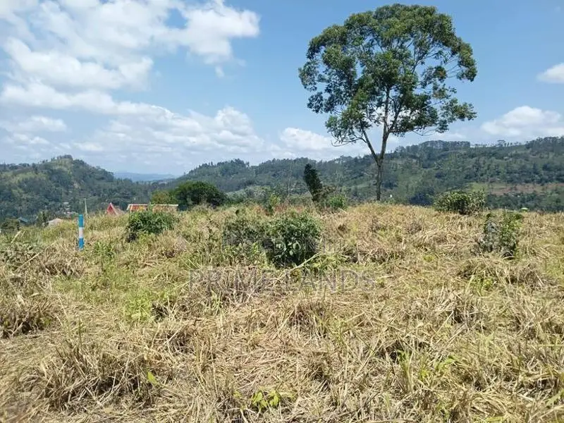 Land for Sale in Pussallawa