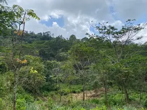 Land for Sale in Pussallawa