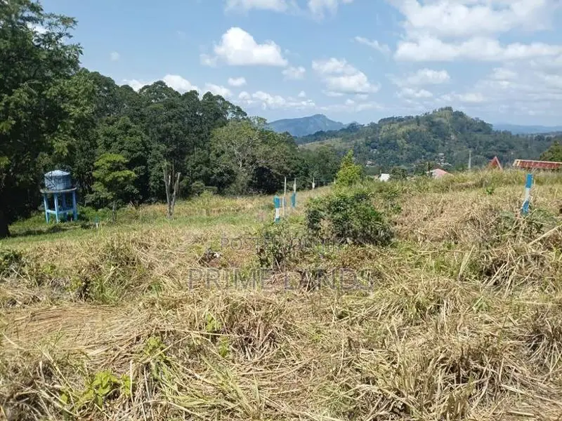 Land for Sale in Pussallawa