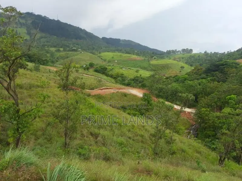 Land for Sale in Deltota