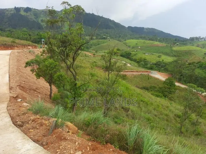 Land for Sale in Deltota