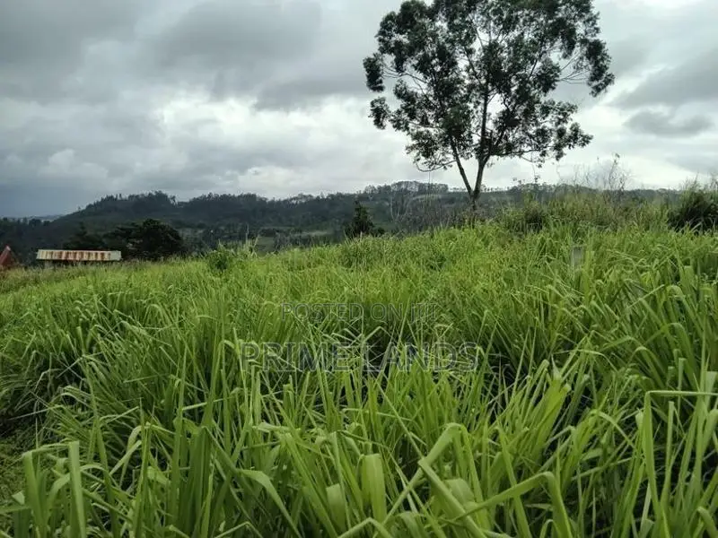 Land for Sale in Pussallawa