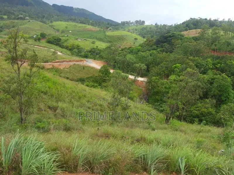 Land for Sale in Deltota